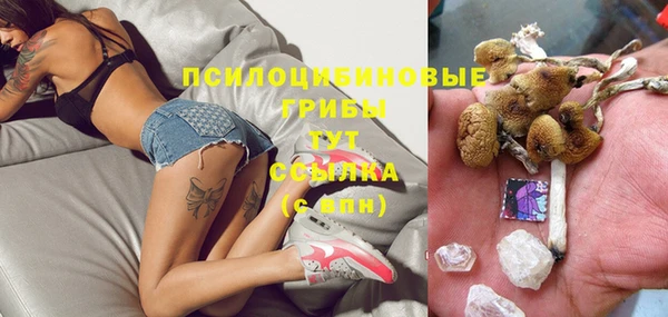 мдма Горняк